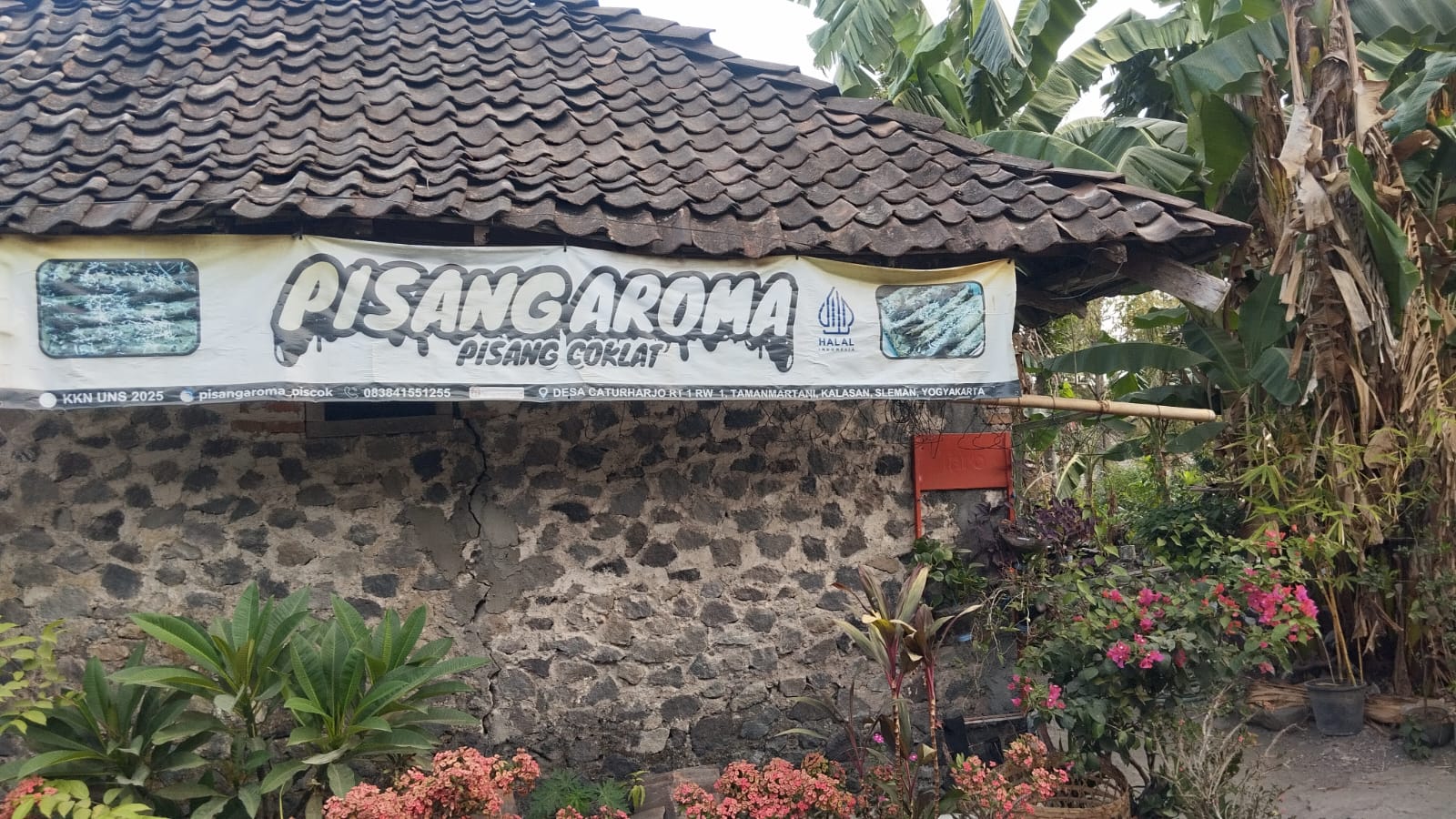 Pisang Aroma